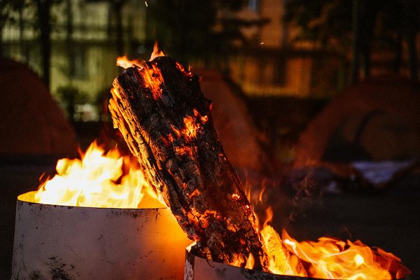 Croisière Fjord : une expérience inoubliable au cœur des paysages nordiques